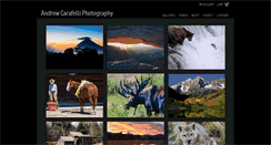 Desktop Screenshot of andrewcarafelli.com
