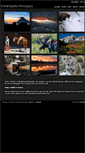 Mobile Screenshot of andrewcarafelli.com
