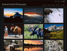 Tablet Screenshot of andrewcarafelli.com
